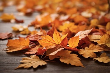Vibrant orange and yellow leaves scattered across rustic wooden surface showcasing beauty of autumn