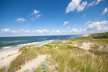 Sand dunes landscape at the Baltic sea