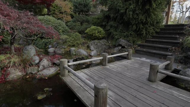 Garden pathway and waterfall