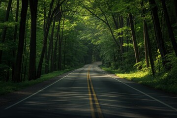 Obraz premium A road with trees on both sides and a yellow line. Road to somewhere concept