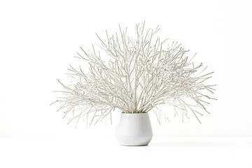 White Branches in a White Vase