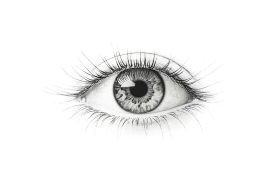 Close-up of a Black and White Eye with Long Eyelashes