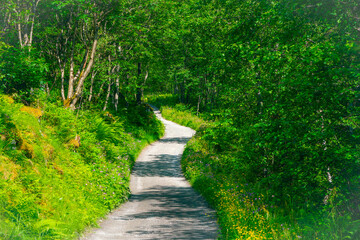 A hiking trail leading through the landscape conservation area of the Utladalen Valley, in Western Norway.