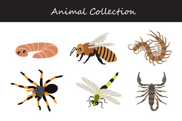 Animals collection. Flat style vector illustration.