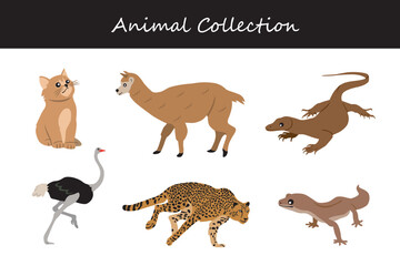 Animals collection. Flat style vector illustration.