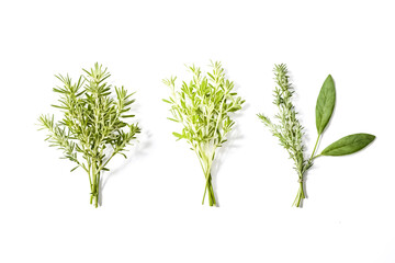 Fototapeta premium Fresh Green Herbs on White Background