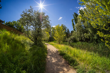 Pathway in Residential Neighborhood. Sunny Morning.