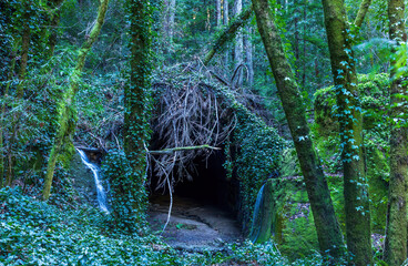 Fototapete bei efototapeten.de bestellen   