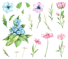 Set of blooming wild flowers, plant stems, green leaves - watercolor illustration. Hand painted aquarelle botany art in high quality. Pink and blue blossom, various floral elements