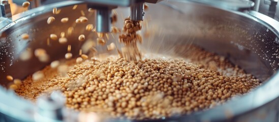 Soybean Processing: Industrial-Scale Bean Handling