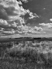 clouds over Everglades