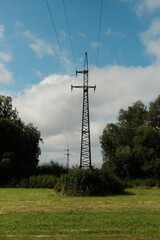 Obraz premium power line tower in forest