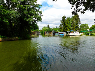 Obraz premium Der Köppensbeek zwischen großen Lychener See, Stadtsee und Nesselpfuhlsee 