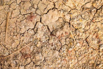 Dry Cracked Soil Texture.