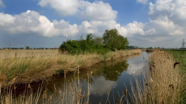 Rural landscape of West Flanders region in Belgium : typical and picturesque canal in the springtime