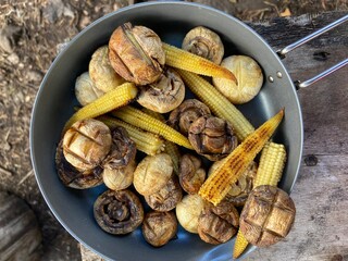 Vegetarian food, corn and mushrooms in a frying pan on a camping trip. Food in nature. View from above
