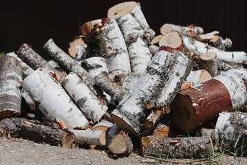 pile of birch firewood, logs, wood for fire and heating