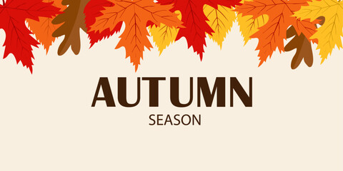 Autumn season. Autumn season banner with colorful falling leaves border. Autumn leaves. Modern trendy colorful design. Template for advertising, web, social media.
