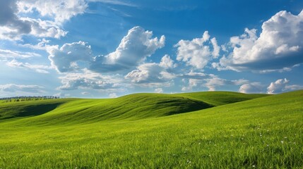 Fototapeta premium Rolling Green Hills Under a Blue Sky