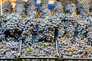 Grapes on sale at the farmers' market.