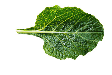Single mustard leaf with visible texture and color, separated on a white background, capturing its natural beauty and freshness