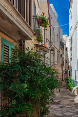 The city of AltaMura in Italy