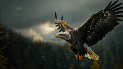 Obraz premium A regal bald eagle, showcasing the impressive stature and majesty of this powerful bird.