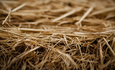 Close-up of dry straw in a heap.