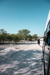 driving in etosha national park, namibia