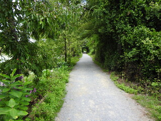 Fototapeta premium Visitors can enjoy hiking the scenic trails around the wetland lake within Wildwood Park, Dauphin County, Harrisburg, Pennsylvania.