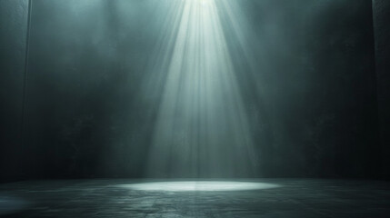 Dimly lit stage background, a bright spotlight