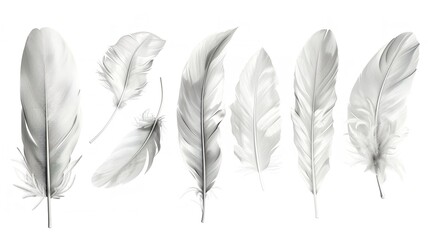Set of pristine white feathers neatly aligned on a grey background. Serene and orderly feather arrangement