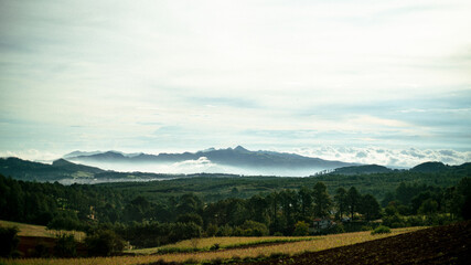Obraz premium La tierra y el campo