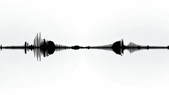 silhouette of a wave form