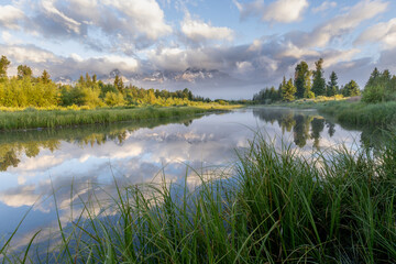 Teton Reflection