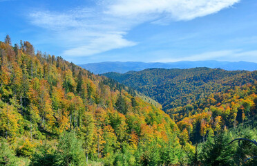 Mountain valley on a sunny autumn day, Roztoka, Beskid Sadecki, Poland
