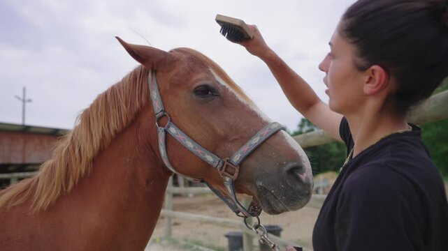 Woman Gently Brushing Horse&rsquo;s Forehead Outdoors