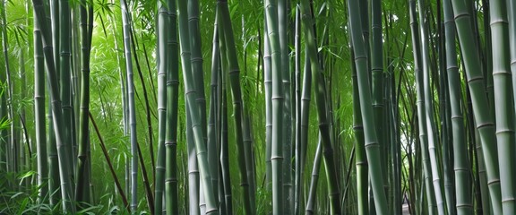 Fototapeta premium Lush Tropical Serenity: A Botanical Oasis