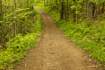Naklejka premium Hiking trail in spring within the Pike Lake Unit, Kettle Moraine State Forest, Hartford, Wisconsin