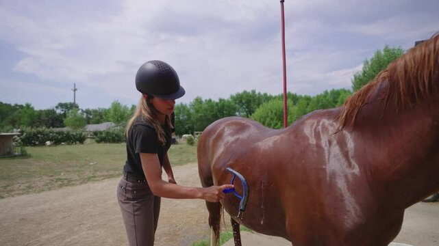 Woman Washing Horse with Hose on Sunny Day