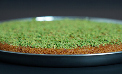 A traditional Arabic or Turkish dessert, Kunafa with pistachio, displayed elegantly on a plain background, highlighting its golden-brown crust and nutty topping.