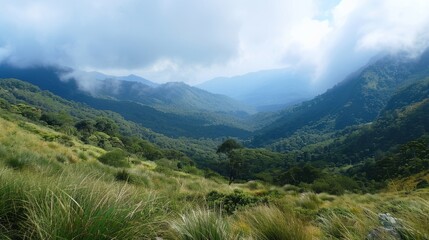 Obraz premium Sri Lanka: Horton Plains National Park 