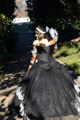 Fototapeta premium Quince