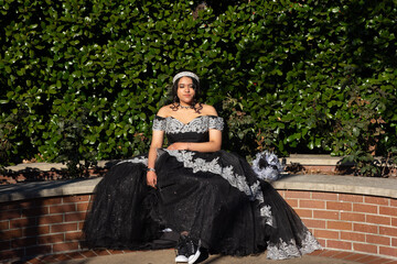 Fototapeta premium Quince