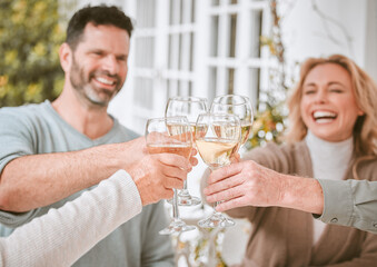 Family, wine and toast with glass in backyard for celebration, holiday or bonding together. Love, cheers and people with alcohol in garden for gathering, sharing meal or weekend lunch at home
