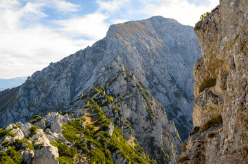 alps one High quality photo