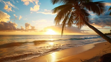 Fototapeta premium Barbados Caribbean Sunset. Palm Trees and Coconut on Sandy Beach Background