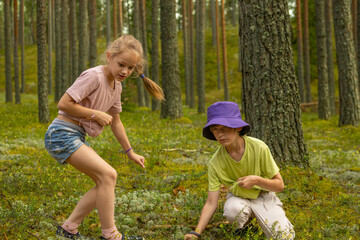 Two children, one in a pink shirt and denim shorts and the other in a green shirt and purple hat, kneel on the forest floor, exploring the natural surroundings.