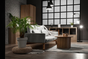 Decorative Areca palm and grey sofa in interior of dark living room