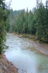 Beautiful landscape with mountainous rapid river. Shallow mountain river